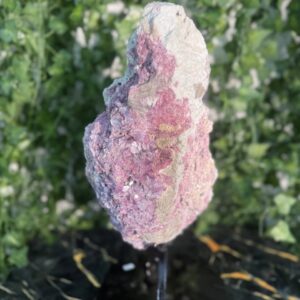 Watermelon Tourmaline on Stand