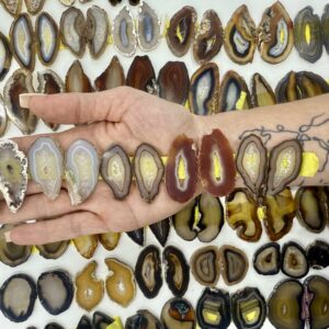 Agate Slices Matching Pair for Jewelry Making