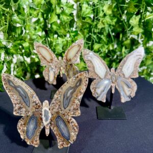 Agate Resin Butterfly on Stand