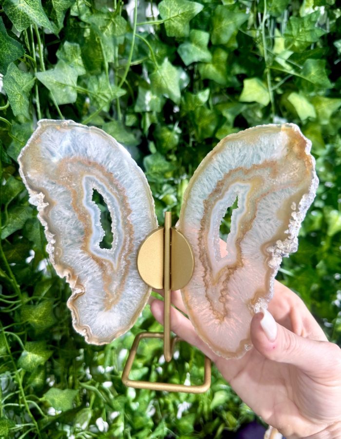 Agate Slice Butterfly on Stand